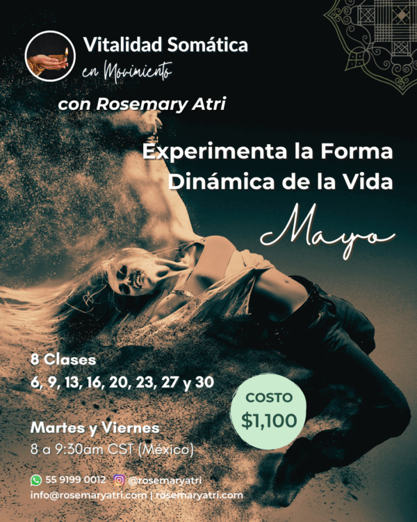 Clases de Vitalidad Somática